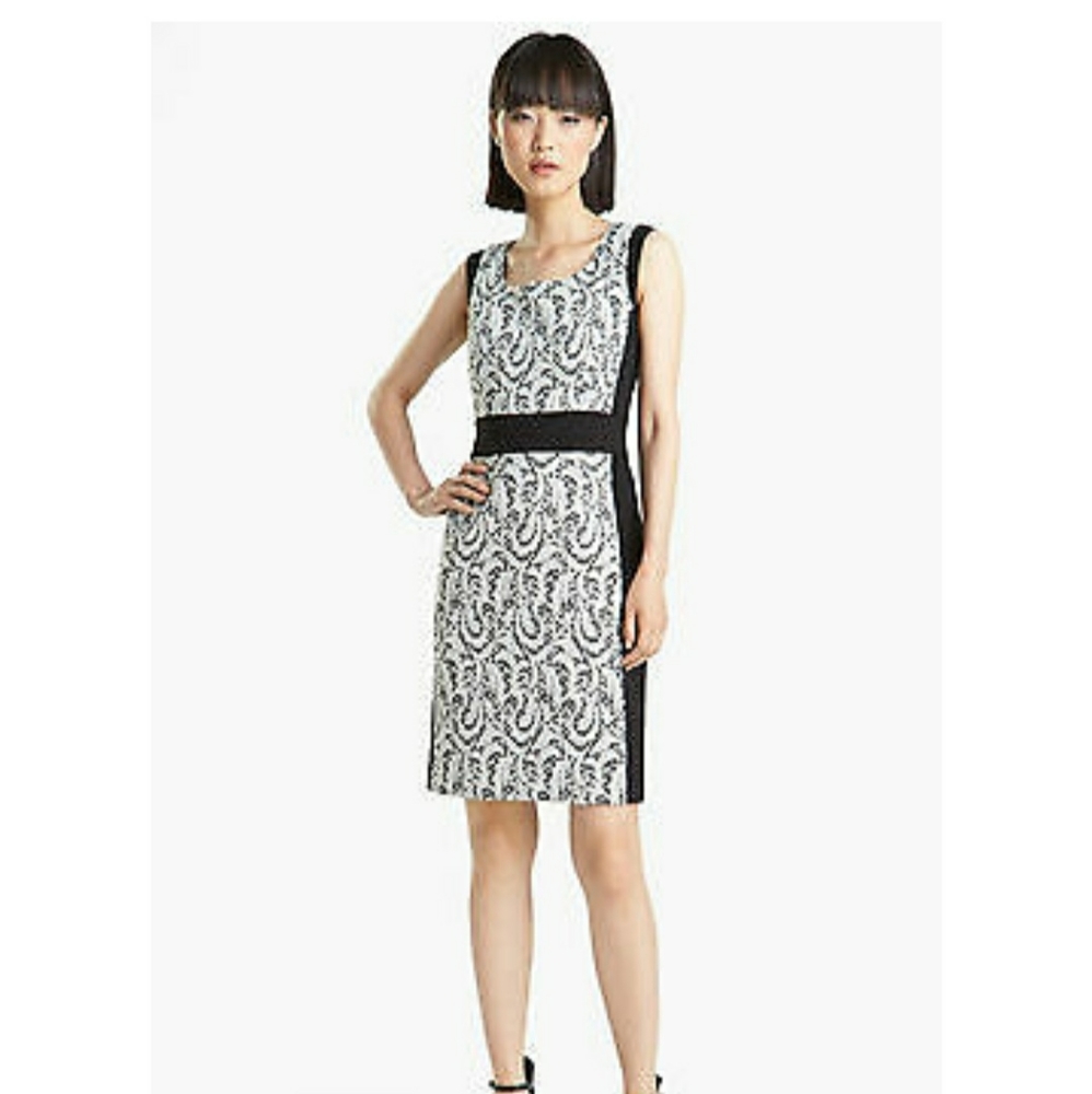 Black & White Patterned Sheath Dress - Sleek Contrast Panel
